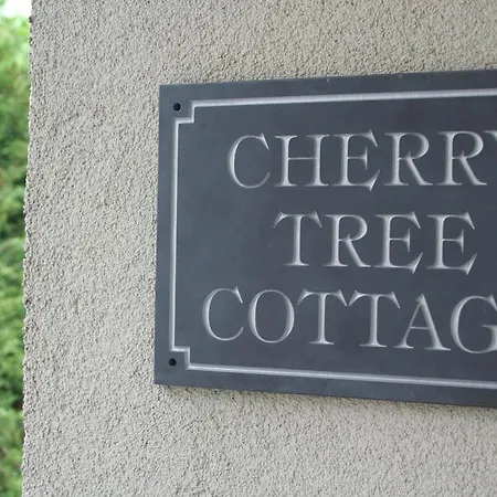 Cherry Tree